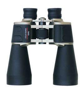 HVP26