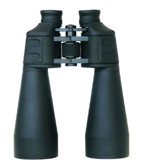 HVP31