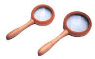 Woodiness Magnifier