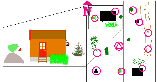 Your backyard